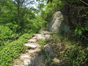 蘆浦村古道 蘆浦村古道