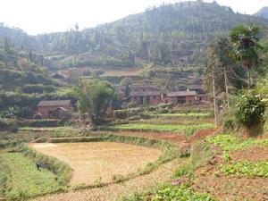 龍堡自然村 龍堡自然村