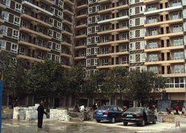 金沙·蜜地 金沙·蜜地