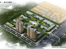 和平春天 和平春天