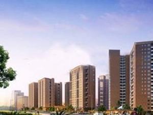 森林公園1號 森林公園1號