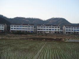 朱家岙村 朱家岙村