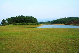尋皇大草原 尋皇大草原