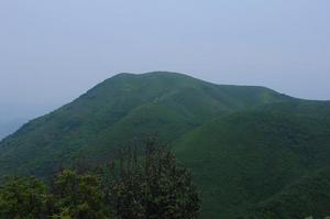 桃紅嶺梅花鹿自然保護區