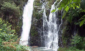 屏邊大圍山 屏邊大圍山