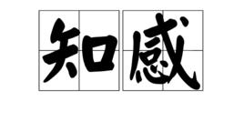 知感 知感