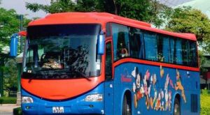 香港迪士尼直通巴士 香港迪士尼直通巴士