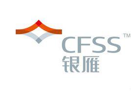 深圳市銀雁金融服務有限公司 深圳市銀雁金融服務有限公司