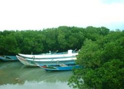 挖子尾自然保留區 挖子尾自然保留區