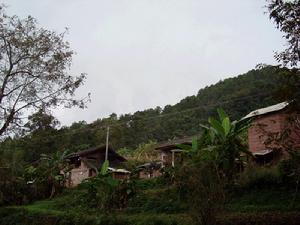 老龍田組 老龍田組