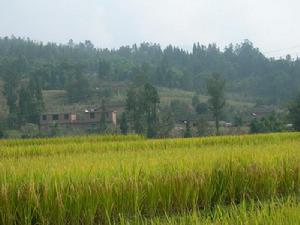 毛草自然村 毛草自然村