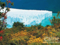 阿根廷冰川國家公園 阿根廷冰川國家公園