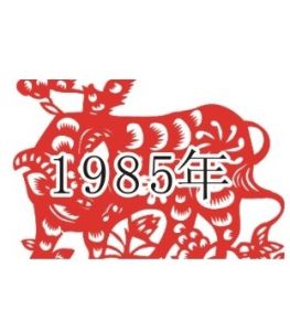 1985年 1985年
