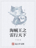 海賊王之雷行天下 海賊王之雷行天下