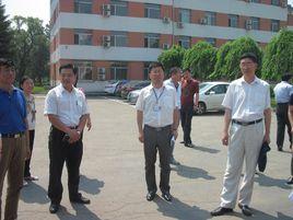 團結街道[吉林省白城市洮南市團結街道]