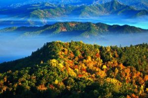 湯旺河石林森林公園