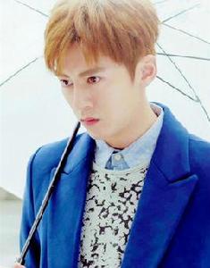 李國毅[中國台灣演員]