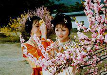 87版《紅樓夢》薛寶釵