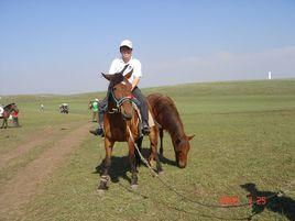 黃晉[湖北工業大學機械工程學院教授]