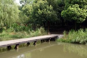 啟東江心鳥島 啟東江心鳥島