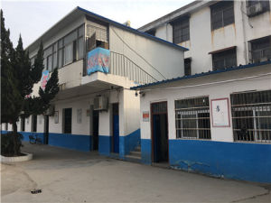 太和縣新星學校