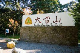 大雪山原始森林景區 大雪山原始森林景區