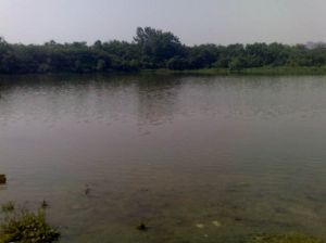 滄浪湖