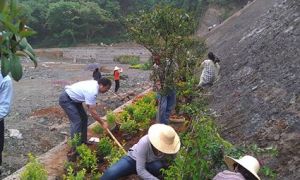陳家渡村 陳家渡村