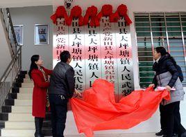 大坪塘鎮 大坪塘鎮