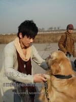 《傑出的流年》