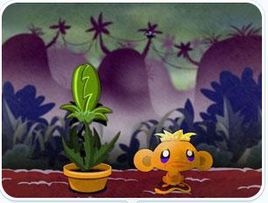 逗小猴子笑5 逗小猴子笑5