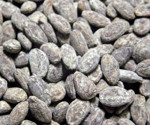 零陵栝蔞子 零陵栝蔞子