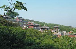 日照駐龍山風景區 日照駐龍山風景區