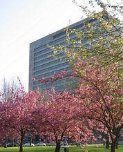 伊拉斯謨[荷蘭鹿特丹大學]