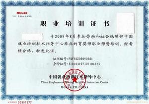 育嬰師職業師資證書 育嬰師職業師資證書