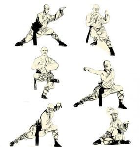 燕青巧打拳 燕青巧打拳