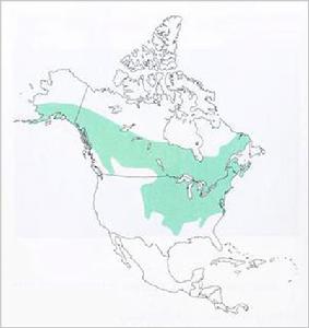 草原林跳鼠分布圖