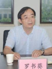 羅書葵[渭南市人民政府副市長]