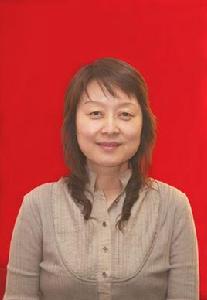 田華[烏魯木齊發改委副主任]