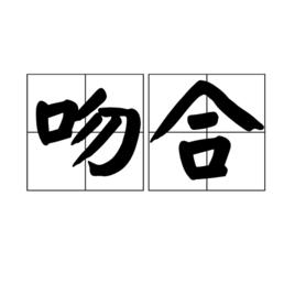 吻合[中文詞語]