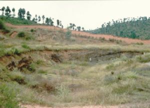 臘瑪古猿化石產地 臘瑪古猿化石產地