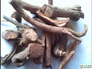 紅白二丸 紅白二丸