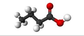 丁酸 丁酸