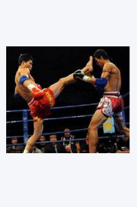 中泰拳王爭霸賽 中泰拳王爭霸賽