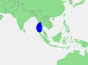 安達曼海 安達曼海