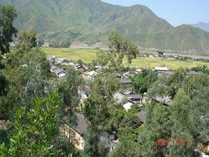 通樹營村 通樹營村