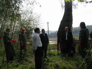 六安市林業局 六安市林業局