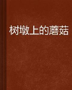 樹墩上的蘑菇 樹墩上的蘑菇