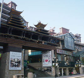 新天衛城 新天衛城