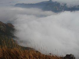 大霧嶺自然保護區 大霧嶺自然保護區